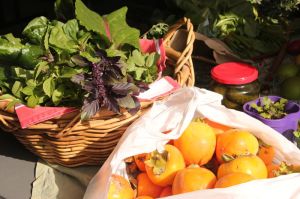 Gourmet basil and bags of persimmons at May Food Swap
