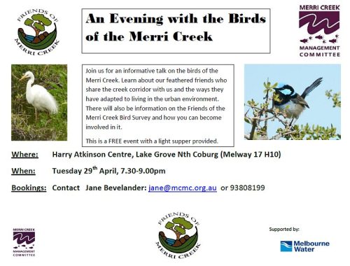 20140429-bird-survey