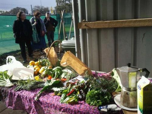 20140712-Sus-Fawkner-foodswap-community-gardening01