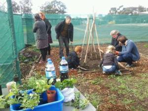 20140712-Sus-Fawkner-foodswap-community-gardening04