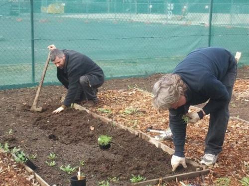 20140712-Sus-Fawkner-foodswap-community-gardening05