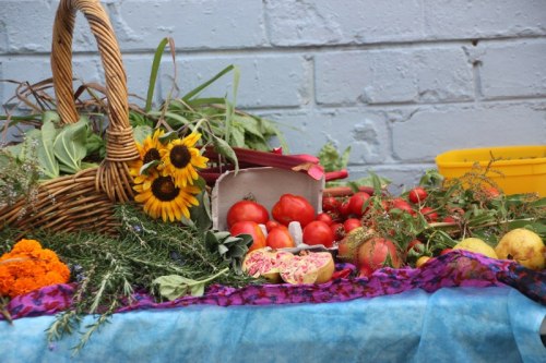 Fawkner-piazza-IMG_0175-food-swap-table-800w