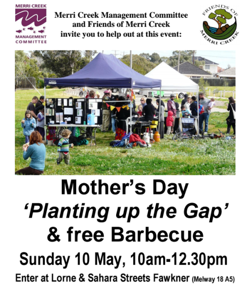 20150515-tree-planting