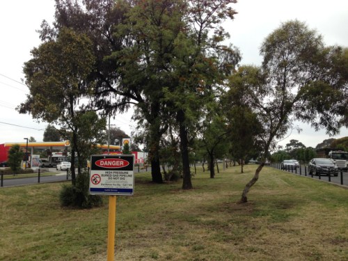 Sydney Rd Median strip between Major and Lynch Rds